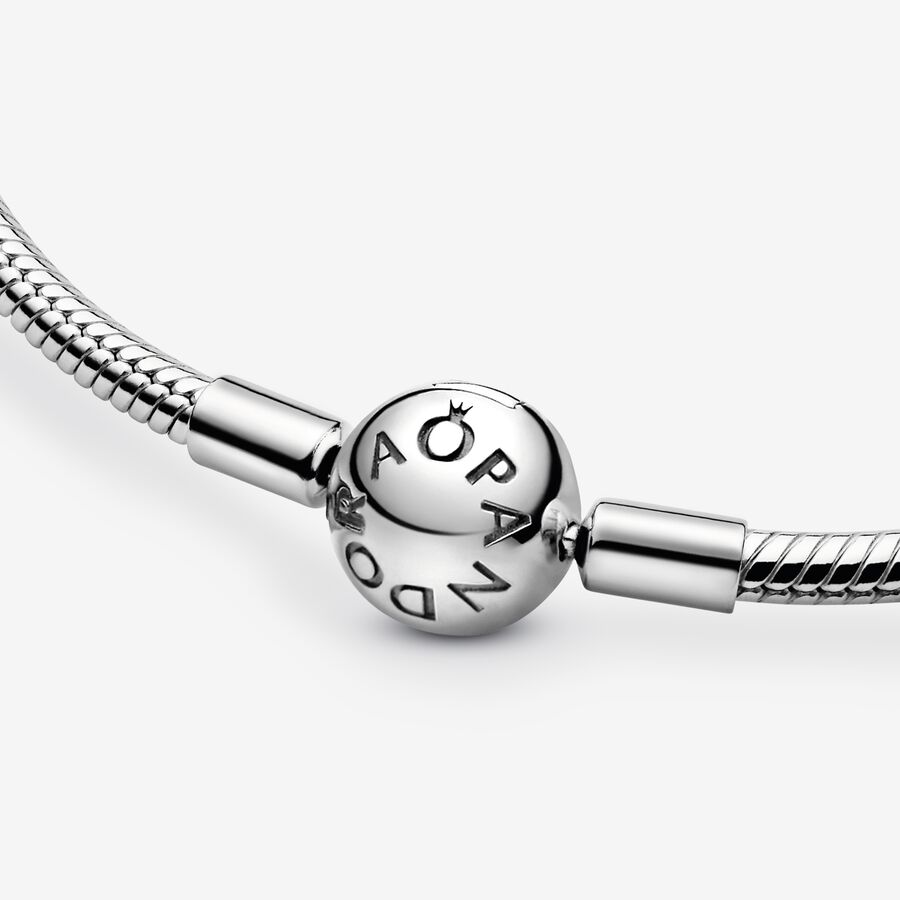 Pandora Charms Silber | YWKHFU-702