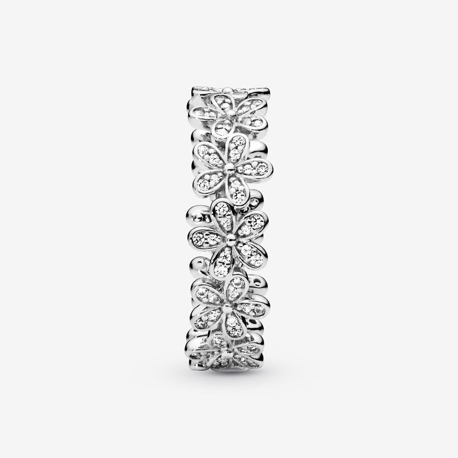 Pandora Dazzling Daisy Meadow with Clear CZ Band Silber | ZDPVIB-465