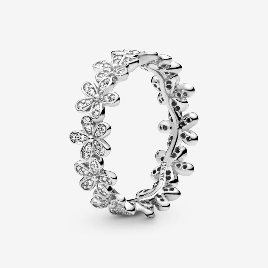 Pandora Dazzling Daisy Meadow with Clear CZ Band Silber | ZDPVIB-465