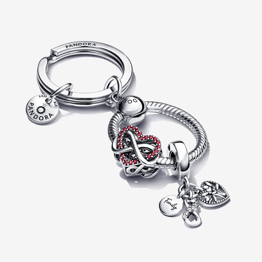 Pandora Family Infinity Keychain Charms Mehrfarbig | GLOHMK-758