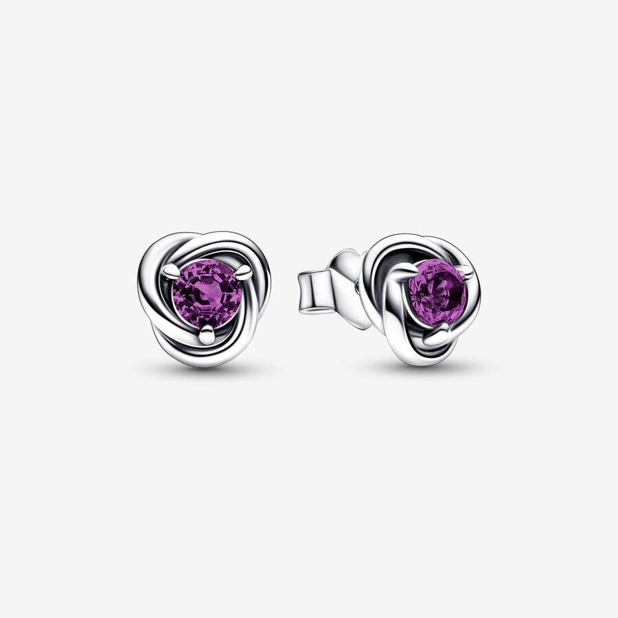 Pandora February Purple Eternity Circle Zucht Silber | NAXFOB-421