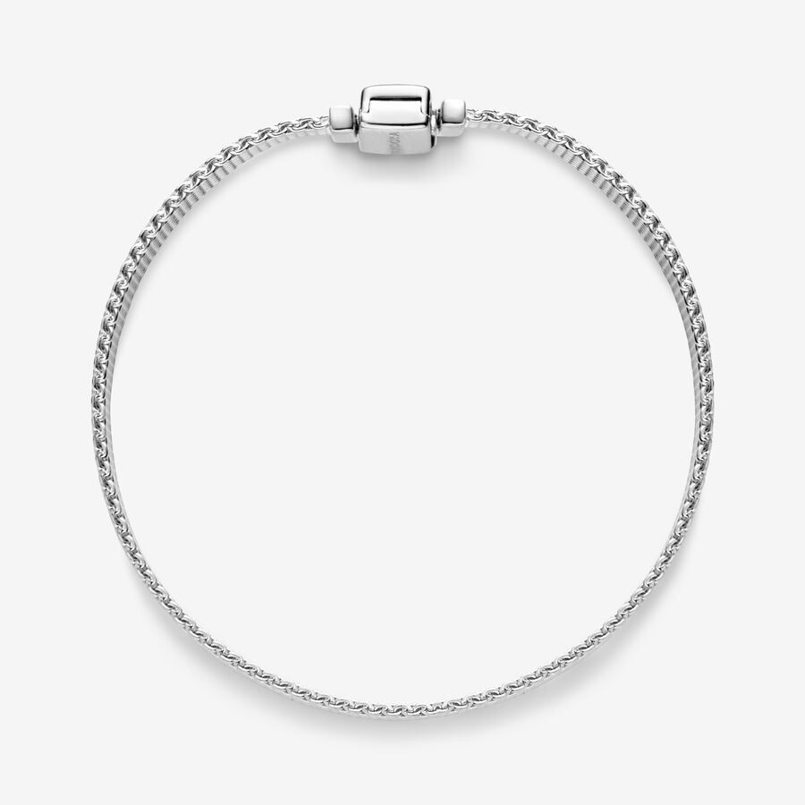 Pandora Reflexions Mesh Charms Silber | BJXDOG-974