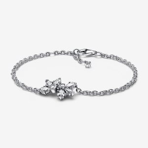 Pandora Sparkling Herbarium Cluster Non-Charms Silber | FCQSNV-653